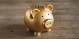 Gold: The Shining Investment Opportunity for 2025 - Zomi Wealth